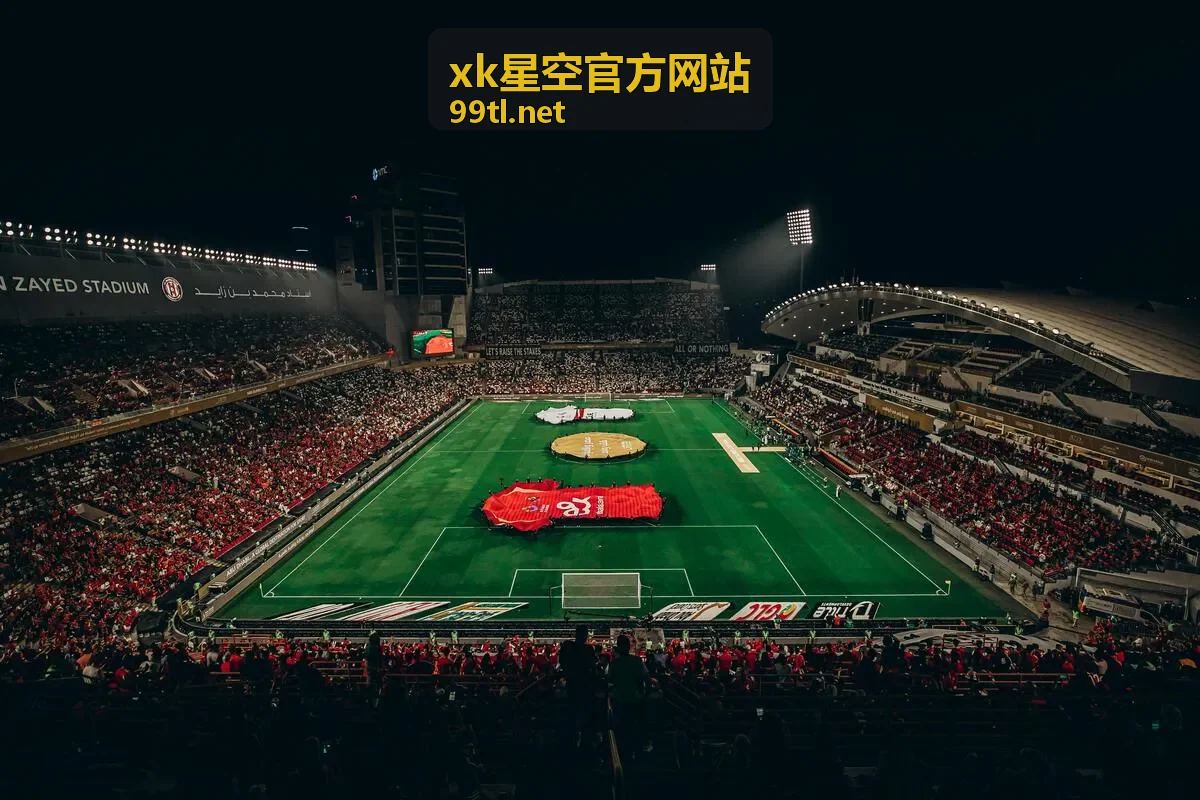 xk星空官方网站账号登录与密码找回入口